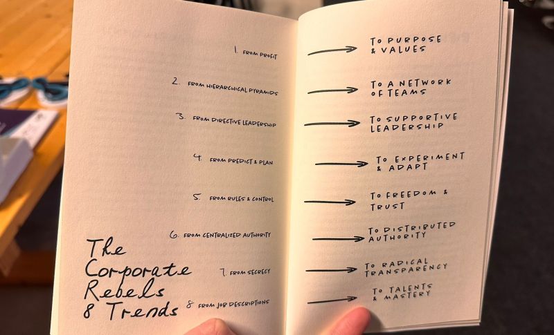 Corporate Rebels' evolution 8 rules